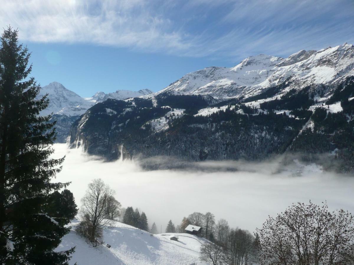 Holiday Flat #1, Chalet Aberot, Wengen, Switzerland エクステリア 写真